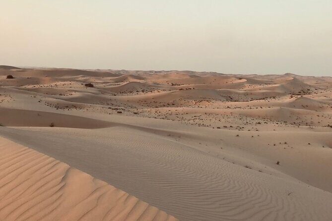 Sunrise Desert Safari with Quad bike and Sandboarding, - Why Sunrise Beats Later Desert Tours in Abu Dhabi