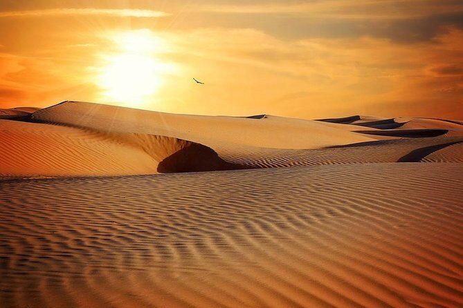 Sunrise in Dubai Desert - Sandboarding on Sand: Like Snowboarding, but You’ll Learn Fast