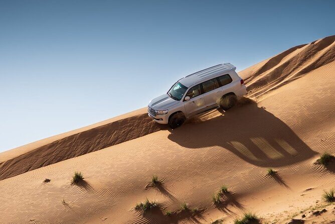 Sunrise/Morning Dune Drive with Camel Trek & Sand Surfing - Getting From Your Dubai Hotel to the Red Dunes (Without the Stress)