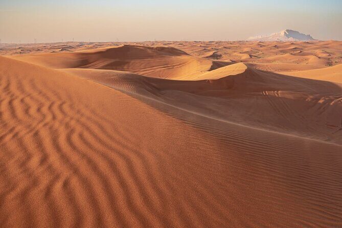 Sunrise/Morning Dune Drive with Camel Trek & Sand Surfing - The 20-Minute Camel Trek: A Slower Desert Side