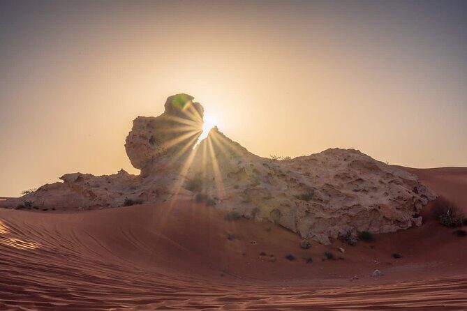 Sunrise/Morning Dune Drive with Camel Trek & Sand Surfing - Light Refreshments and Falcon Photo: Small Details That Change How You Feel