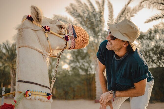 Sunrise/Morning Dune Drive with Camel Trek & Sand Surfing - Value for $219.20: A Private Group Safari That Can Be Reasonable