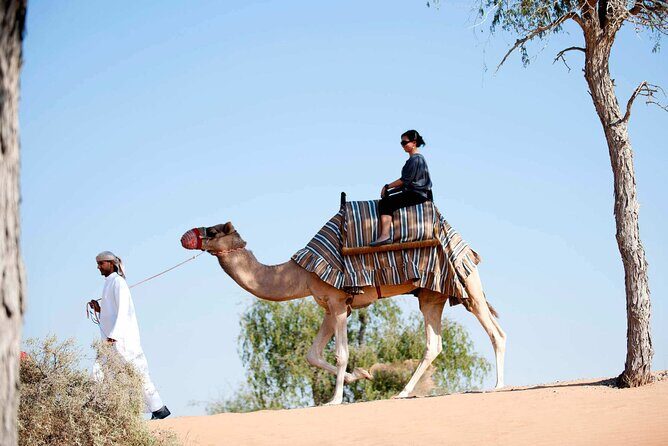 Sunset Camel Ride Including BBQ Dinner From Ras Al Khaimah - Dinner Entertainment: Tanoura-Style Spinning, Belly Dancing, and Fire Shows