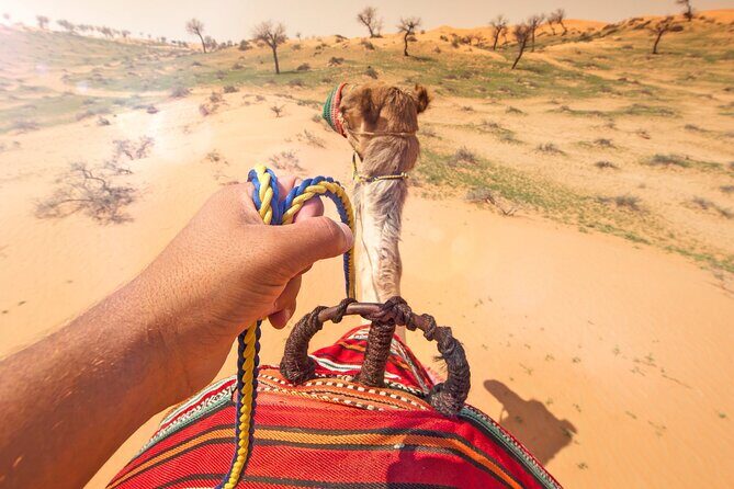 Sunset Camel Ride Including BBQ Dinner From Ras Al Khaimah - Who This Desert Evening Fits Best