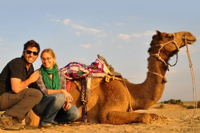 Sunset Camel Ride Including BBQ Dinner From Ras Al Khaimah - The Camel Ride: What the 45-Minute Trek Really Means for Your Body