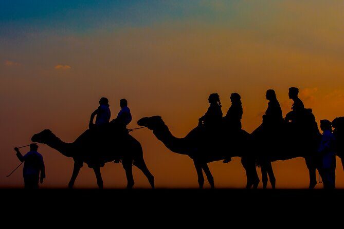 Sunset Camel Trekking with Falcon Show & VIP BBQ Dinner - Sunset Camel Trekking: What the 45-Minute Ride Really Gives You