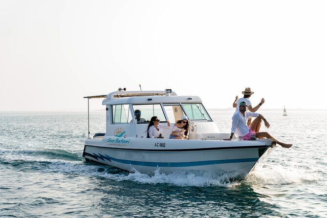 Sunset Corniche Cruise - 2 hours trip - Corniche sunset cruising: what makes this outing work