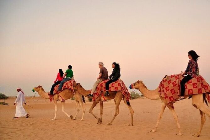 Sunset Desert Safari | Premium BBQ Dinner | Red Sand Dune - The Camp Experience: Coffee, Henna, Camel, and Shisha