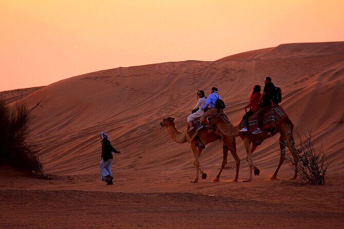 Sunset Evening Safari,Camel ride,live shows and BBQ Dinner with No Hidden Charge - The 3:00 pm start that sets up a proper desert sunset