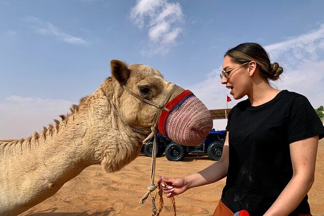 Sunset Quad/Buggy Tour & BBQ Evening - BBQ dinner at the camp plus the big shows