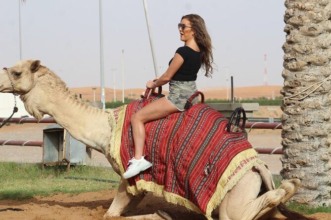 Sunset Quad/Buggy Tour & BBQ Evening - Who should book this (and who should consider another option)