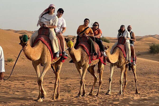 Sunset Safari with BBQ Dune Drive Camel Ride & Dune Buggy option - Pickup to Desert Drive: the comfort part you’ll be glad you have