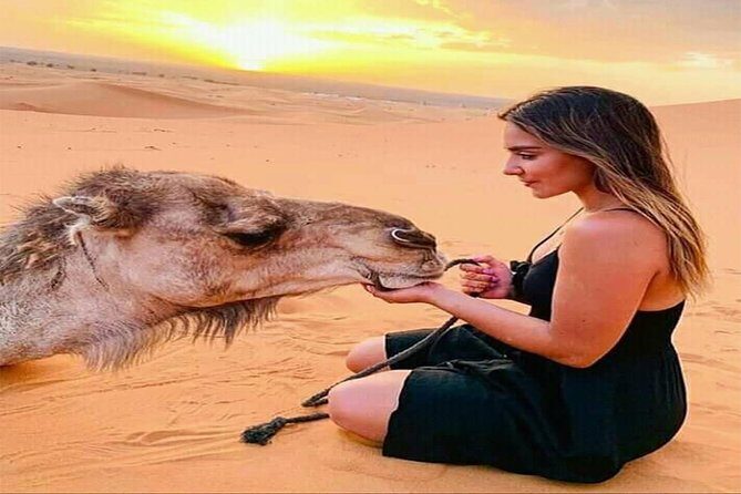 The Bedouin Desert Safari Experience - Bedouin camp night: BBQ-buffet and fire plus belly dances