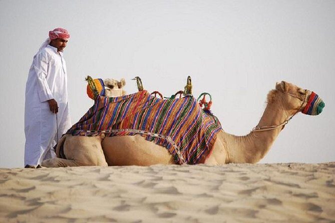 The Bedouin Desert Safari Experience - Price and value: what $50 really buys you