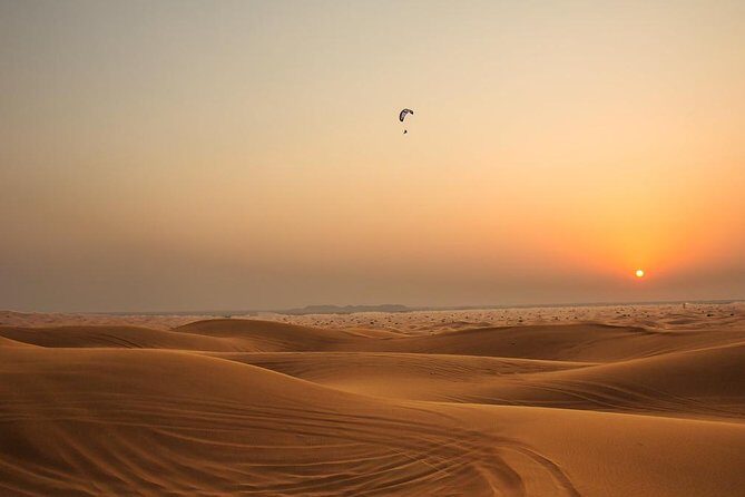 The Bedouin Desert Safari Experience - Who this safari suits best (and what to watch for)
