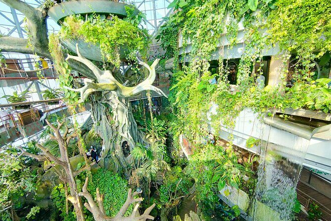 The Green Planet Dubai with Options - Key highlights at a glance