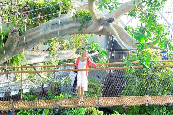The Green Planet Dubai with Options - Inside The Green Planet Dubai: What the indoor rainforest really delivers