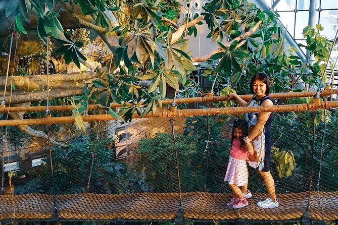 The Green Planet Dubai with Options - Bird feeding and free-flying moments: why it feels special