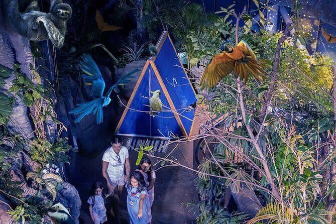 The Green Planet Dubai with Options - Bugs, bats, and the Bug Encounter side of the rainforest
