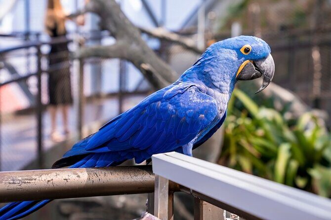 The Green Planet Dubai with Options - Photo rules and what to do to get good pictures