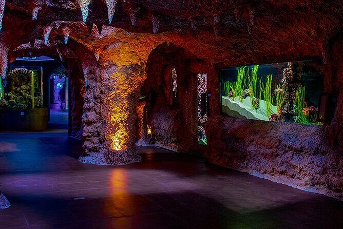 The National Aquarium Abu Dhabi Admission Tickets - Your 2-hour game plan inside the 10-zone aquarium