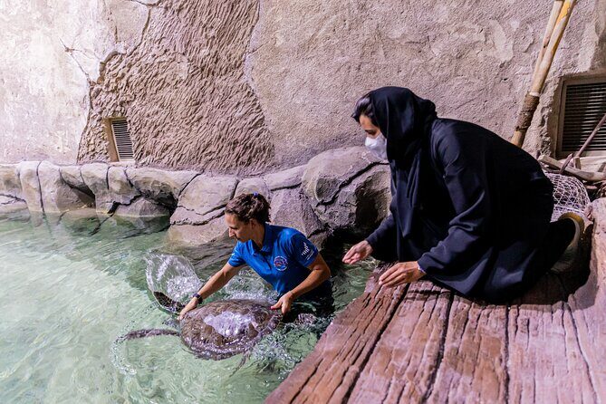 The National Aquarium Abu Dhabi Admission Tickets - Practical visit tips: dress code, noise rules, and staying comfortable
