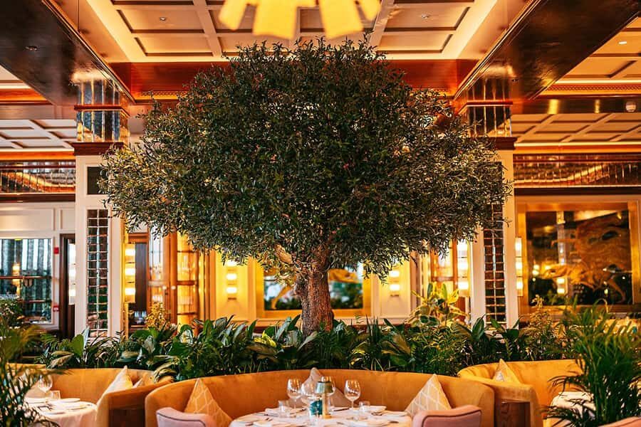The View Fast Track with an Italian Lunch at Signor Sassi - A one-day plan that pairs Italian lunch with Palm Tower views