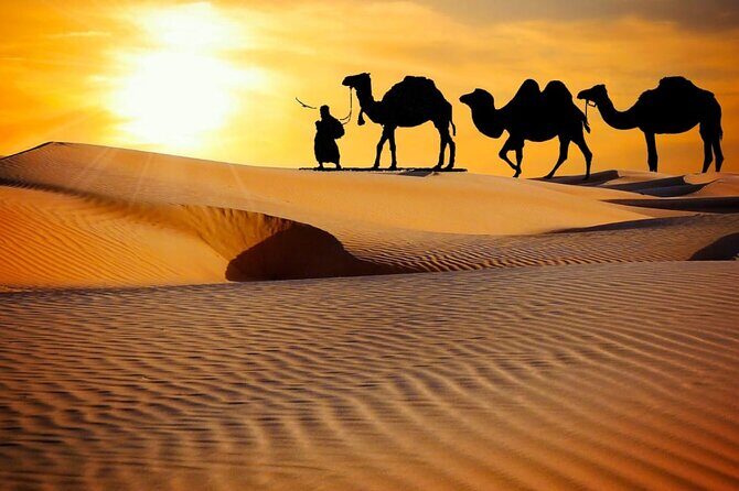 Thrilling dune bashing with VIP Desert camp delicious BBQ & shows - Pickup from home or hotel, then off toward the dunes via Hatta