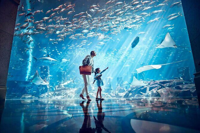 Ticket to Atlantis Aquaventure Waterpark & Combo - The 105-slide lineup: how to pick rides without wasting the day
