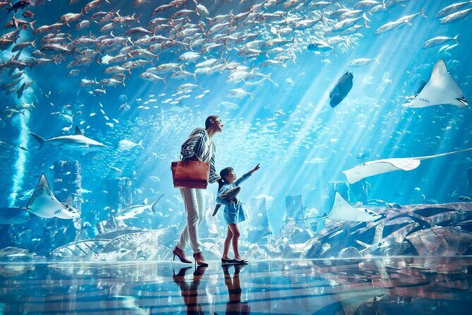 Tickets to Atlantis Lost Chambers Aquarium - Ticket options and what’s actually included
