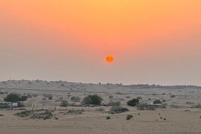 Top premium Desert safari with BBQ DINNER - Pickup, Group Size, and the Private Tour Advantage