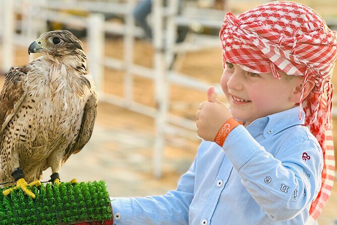 Top premium Desert safari with BBQ DINNER - Price and Value: What $50 Per Person Buys in This Desert Night