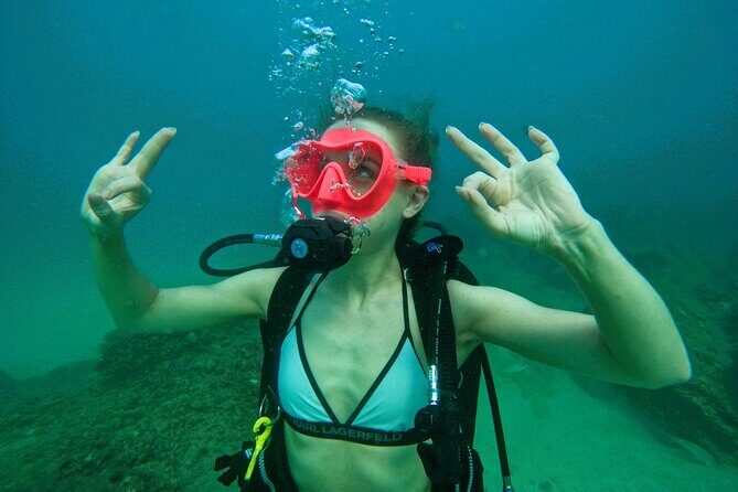 Try Scuba Diving & snorkeling with BBQ lunch in Fujairah - Key highlights worth planning for