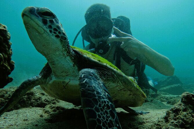 Try Scuba Diving & snorkeling with BBQ lunch in Fujairah - Gear fitting and safety talk (the part that lowers the stress)