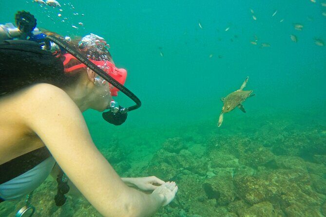 Try Scuba Diving & snorkeling with BBQ lunch in Fujairah - BBQ lunch after the water: fuel and a relaxed finish