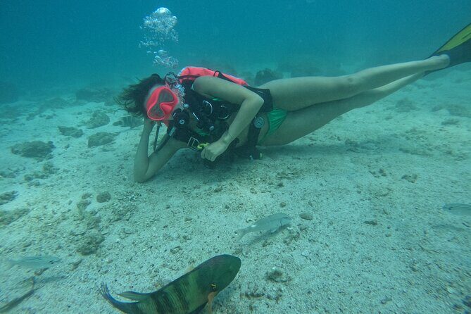 Try Scuba Diving & snorkeling with BBQ lunch in Fujairah - Confined-water training: learning the skills before you go out