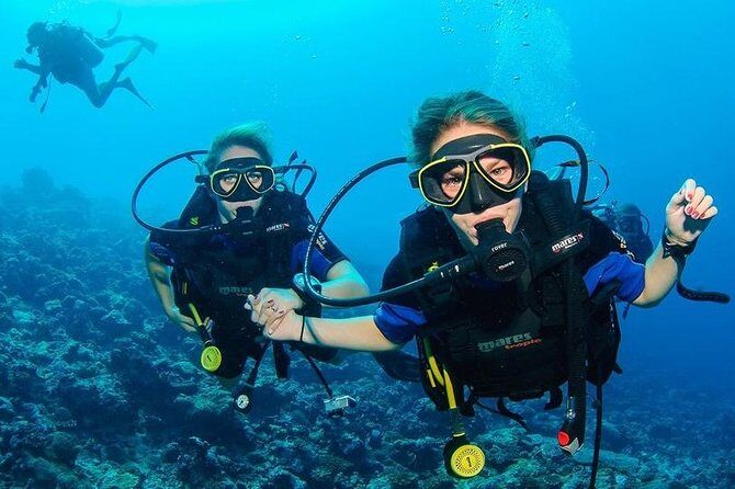 Two Dives for certified divers in Fujairah - Key Points to Know Before You Go