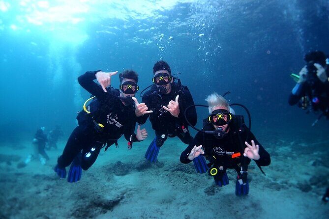Two Dives for certified divers in Fujairah - Fujairah Scuba Day: What You’re Actually Buying for $155