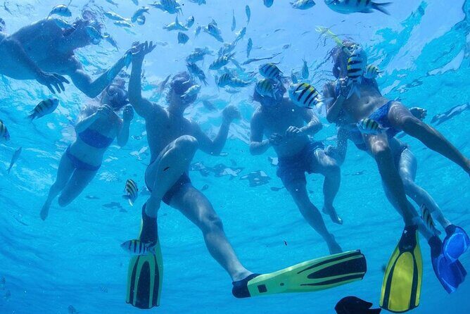 Two Dives for certified divers in Fujairah - Second Underwater Session: Same-Day Bonus With a Fresh Site