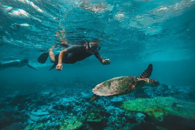 Two Dives for certified divers in Fujairah - The Boat Setup: Comfort, Simple Amenities, and a Real Meeting Point