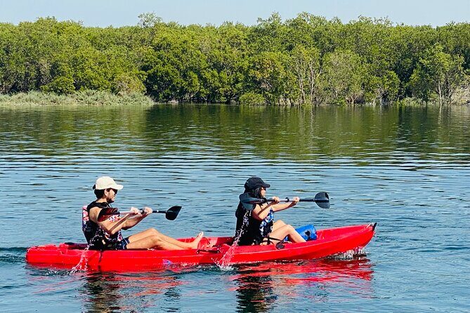 Two Hours Guided Kayaking Tour Reem Central Park Abu Dhabi - Small practical tips that will make a difference