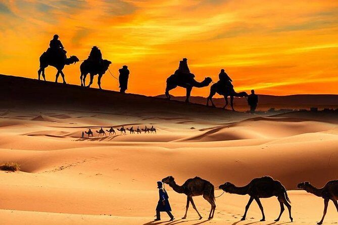 Ultimate 4x4 Desert Safari Dubai with Exclusive Services - Value in the real world: does $98 make sense?