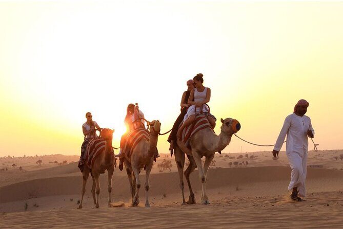 VIP Desert Safari Dubai with BBQ Dinner and Camel Riding - How the 2:30 pm Start Shapes the Whole Evening