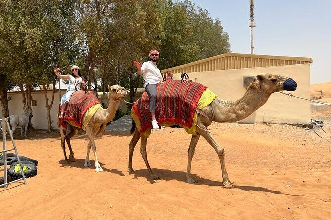 Vip Desert Safari Dubai with Camel Riding BBQ Dinner & Live Shows - Live Shows After Sunset: Belly Dance, Tanoura, and Fire