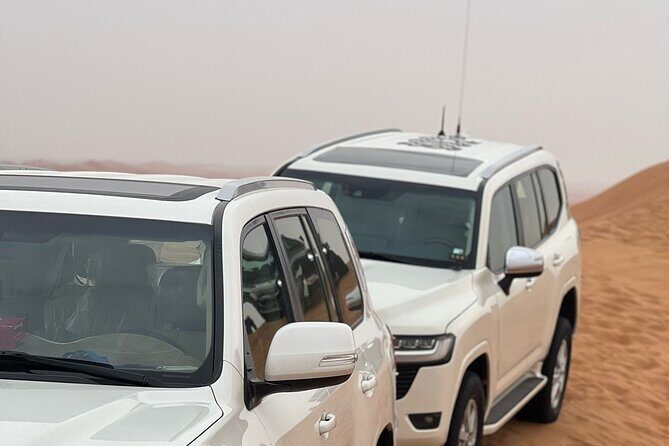 VIP Desert Safari with 4x4 pick up & drop, camel ride bbq dinner - Price and value: what $22.05 per person really buys