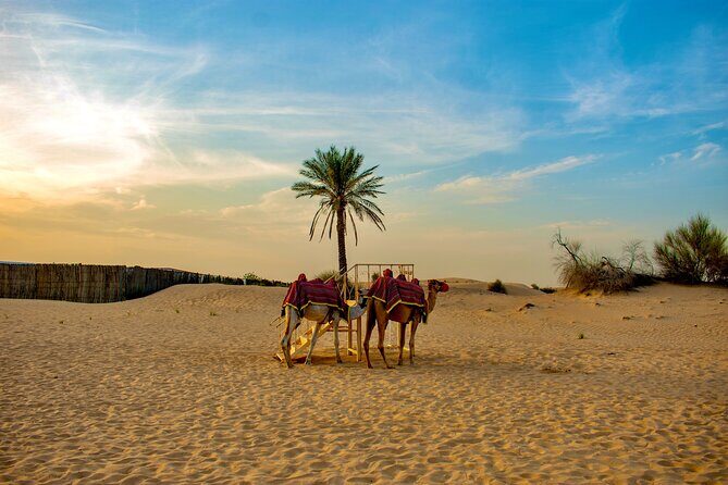 VIP Dubai Desert Safari Camel Ride, Sand Ski, Live BBQ Dinner - From Dubai to Lahbab: what this afternoon timing does for you