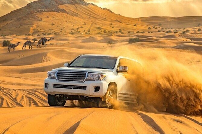 VIP Evening Desert Private Safari Tour in Dubai - Getting there: pickup, meeting point, and timing that works