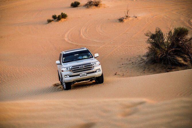 VIP Evening Desert Safari, Camel Ride, Dune Bashing, Sand Boarding, Exclusive - VIP Treatment Means More Than a Better Seat