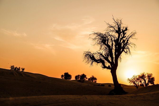 VIP Evening Desert Safari, Camel Ride, Dune Bashing, Sand Boarding, Exclusive - The People Factor: Guides Like Mayer and Ajab Matter