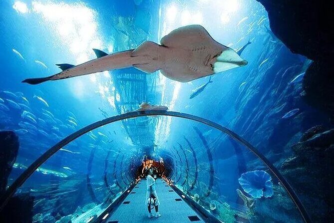 VIP Experience Dubai Aquarium & Underwater Zoo-As per Selection - Dubai Mall entrance: where the aquarium experience starts